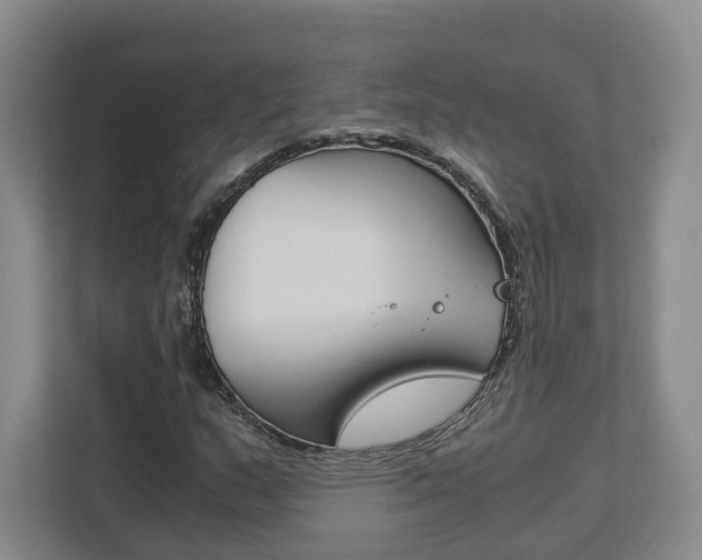X0000113171159200909040928