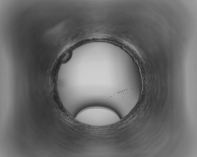 X0000113171160200909040928