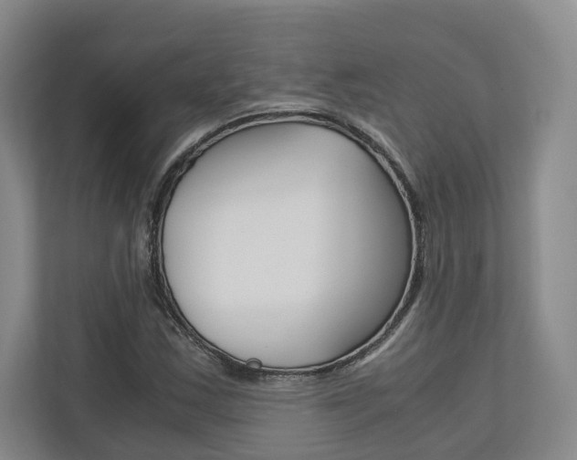 X0000113171163200909040928