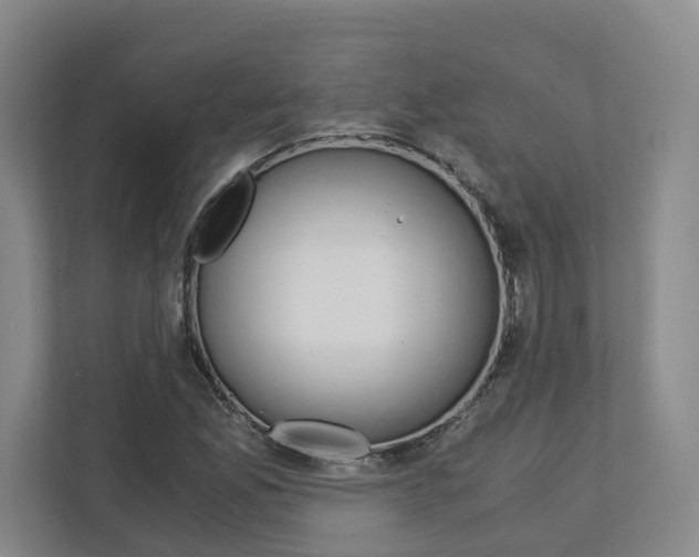 X0000113171165200909040928