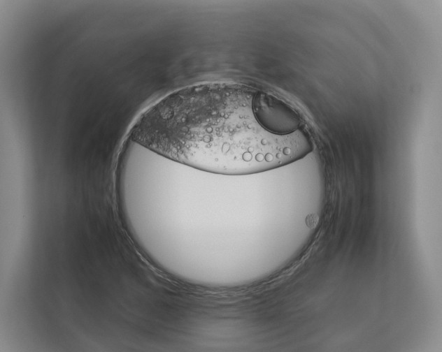 X0000113171168200909040928
