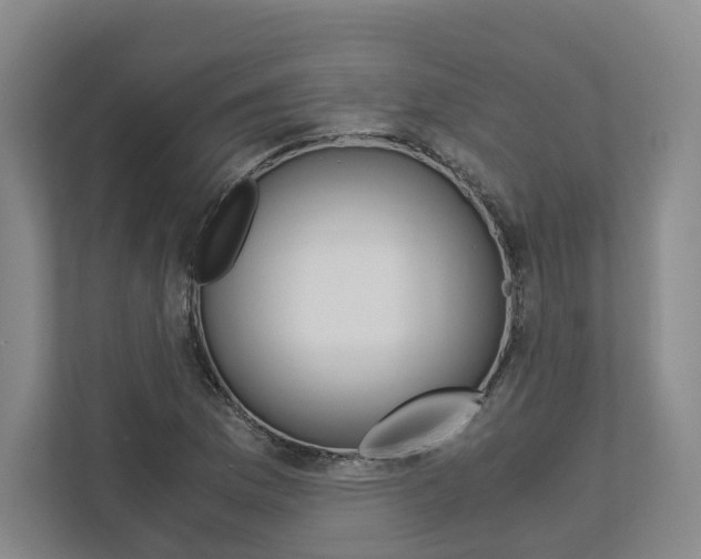 X0000113171169200909040928