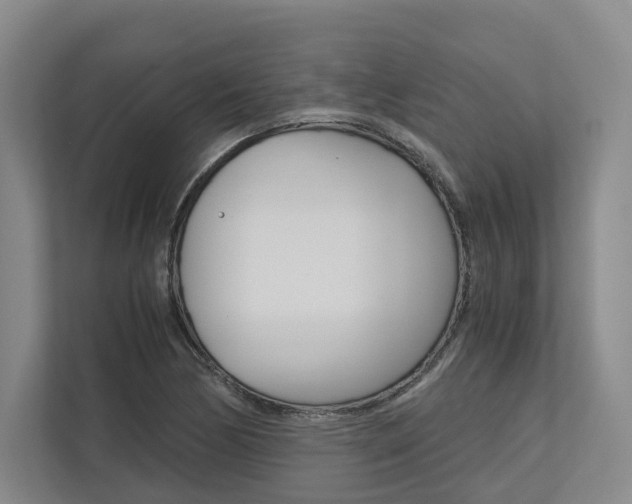 X0000113171170200909040928
