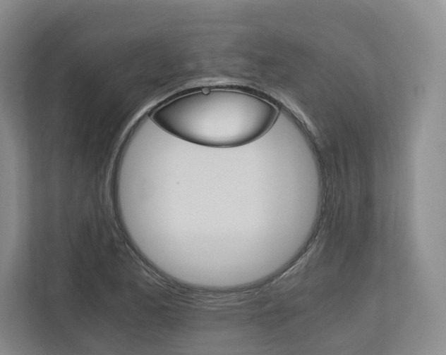X0000113171173200909040928