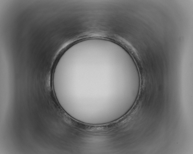 X0000113171174200909040928