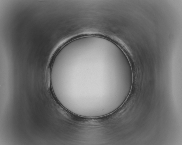 X0000113171175200909040928