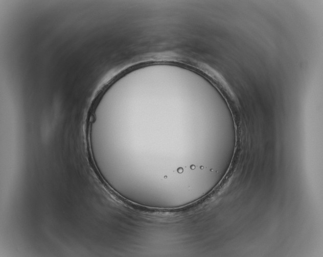 X0000113171176200909040928