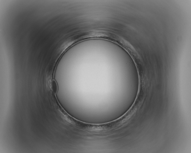X0000113171177200909040928