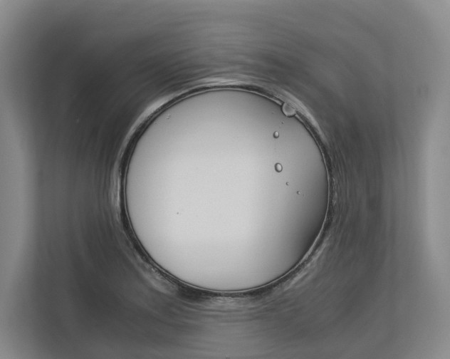 X0000113171179200909040928