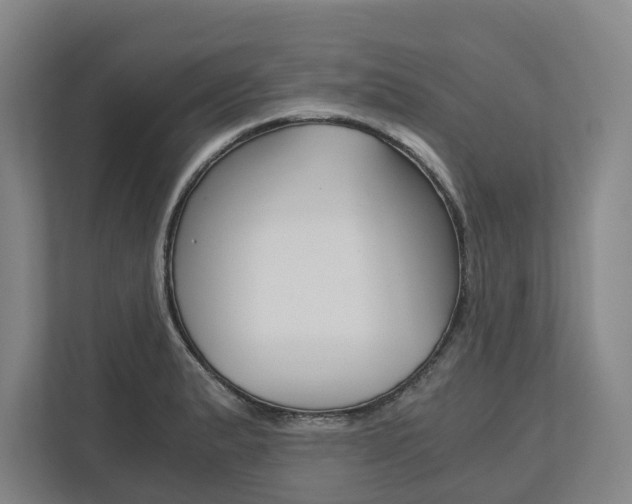 X0000113171183200909040928
