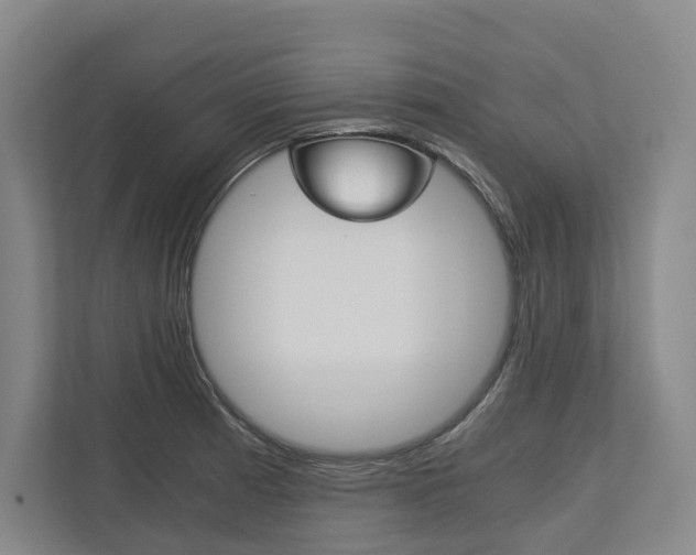 X0000113171185200909040928