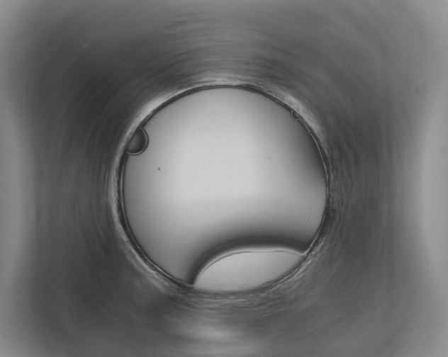 X0000113171187200909040928