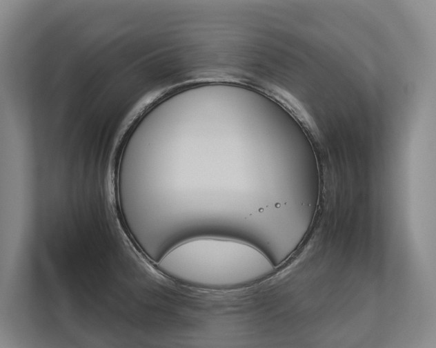 X0000113171188200909040928