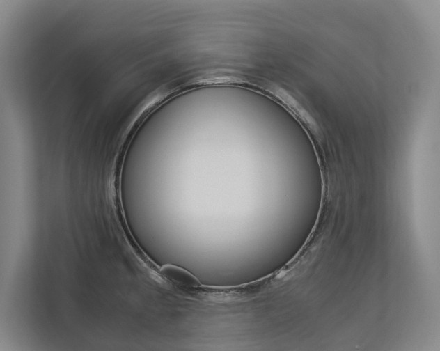 X0000113171189200909040928