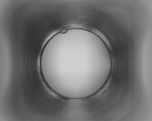 X0000113171198200909040928