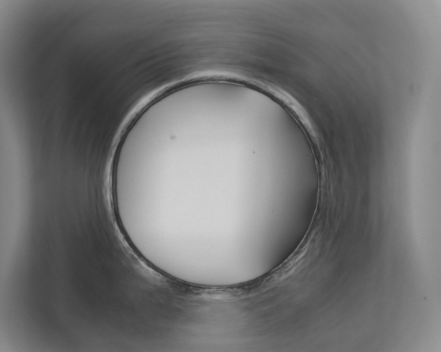 X0000113171199200909040928
