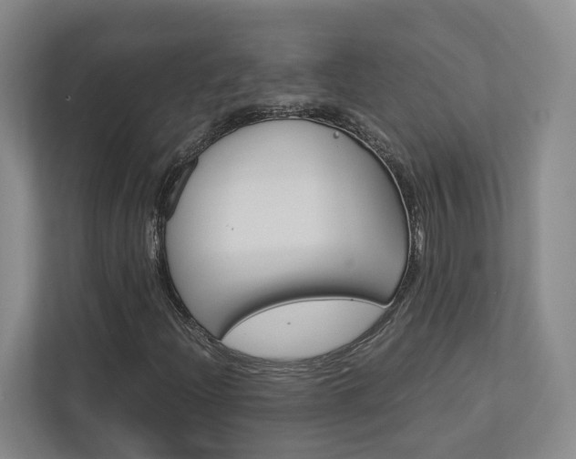 X0000113171204200909040927