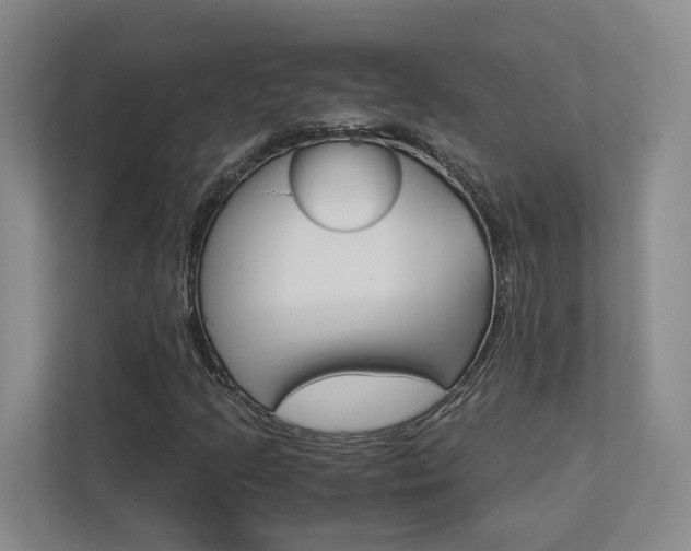 X0000113171205200909040927