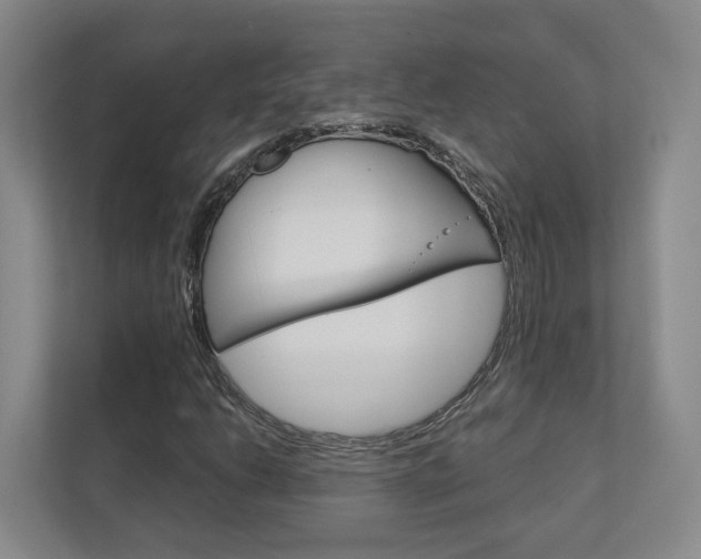 X0000113171206200909040927