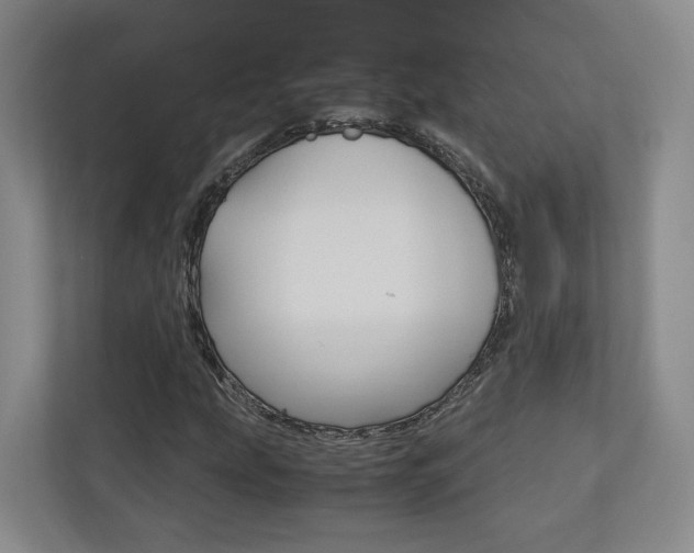 X0000113171207200909040927