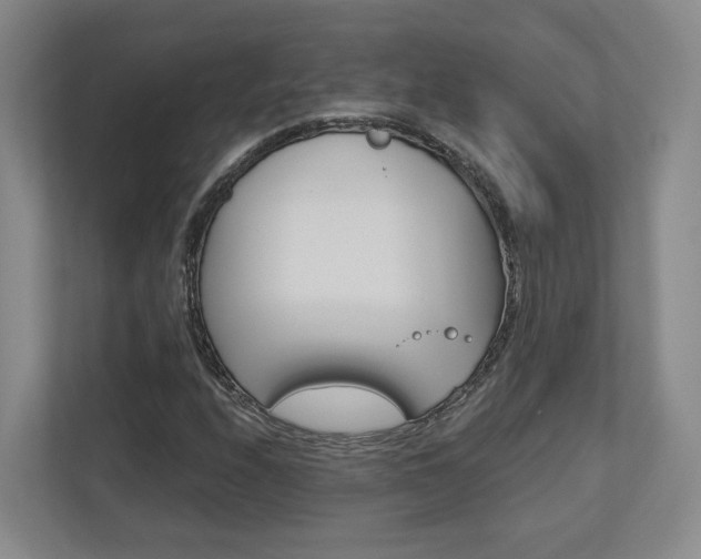 X0000113171208200909040927