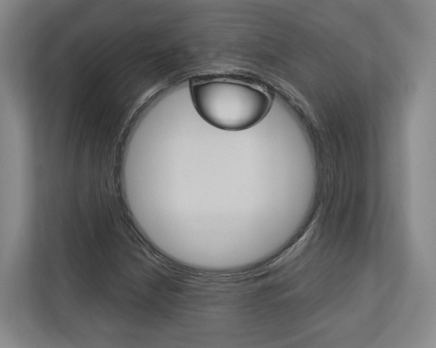 X0000113171210200909040927