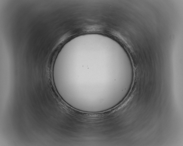 X0000113171211200909040927