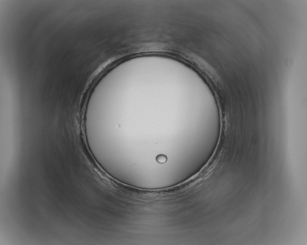 X0000113171212200909040927