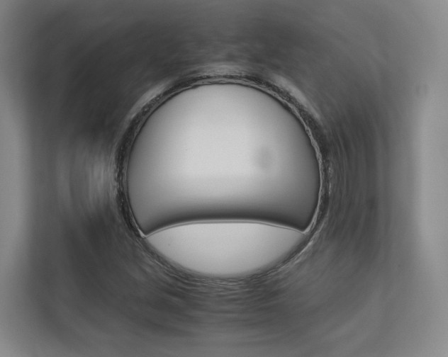X0000113171213200909040927