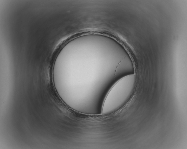 X0000113171214200909040927