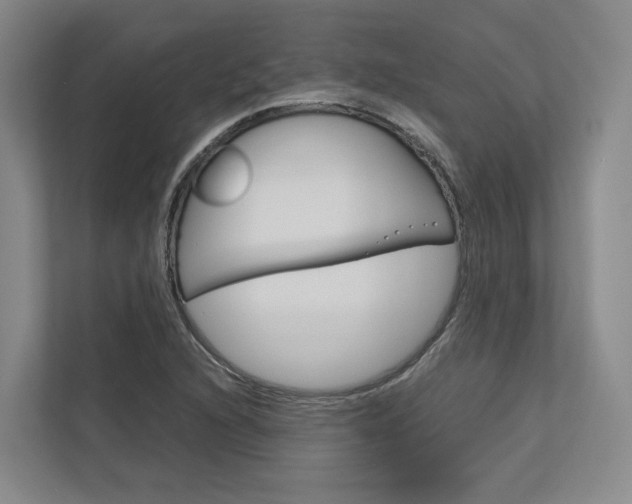X0000113171216200909040927