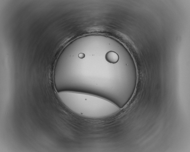 X0000113171217200909040927