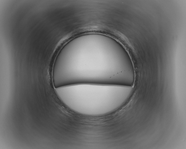 X0000113171218200909040927
