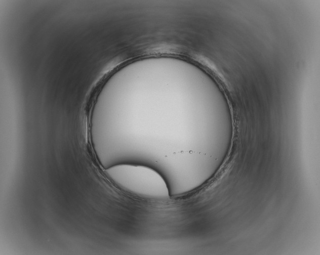 X0000113171219200909040927