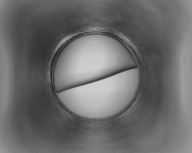 X0000113171222200909040927
