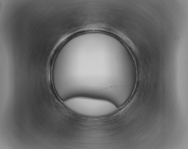 X0000113171224200909040927
