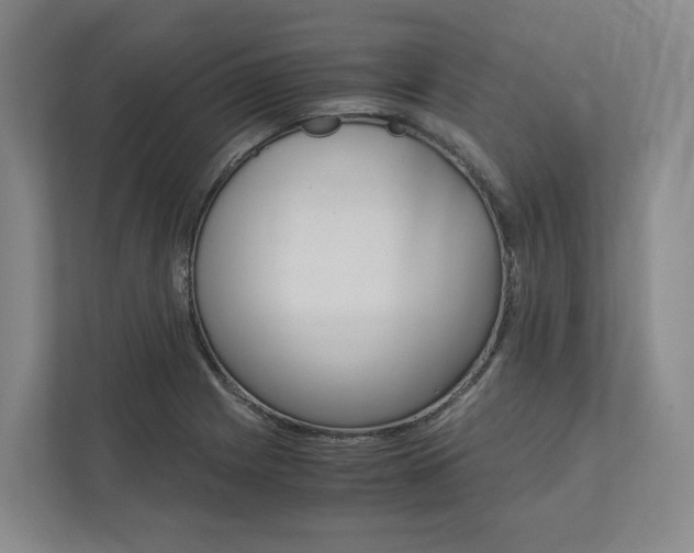 X0000113171225200909040927