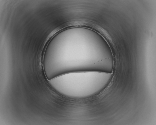 X0000113171226200909040927