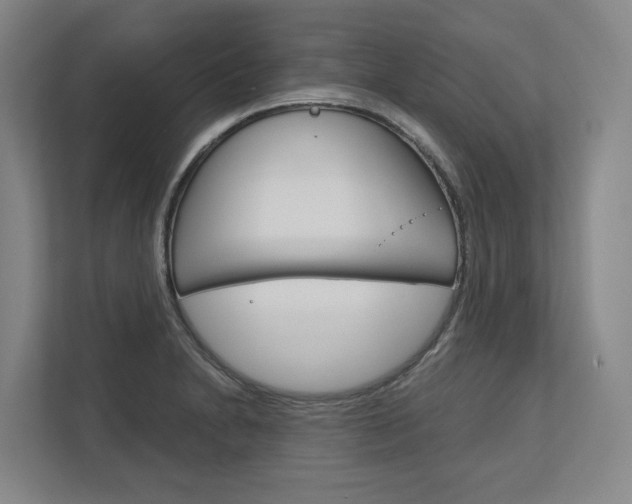 X0000113171230200909040927