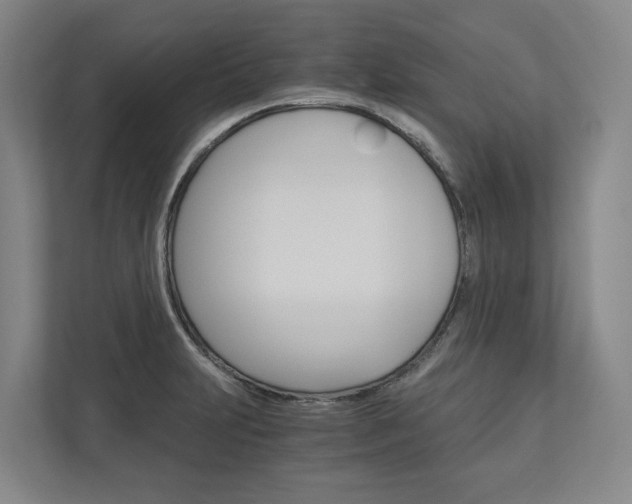 X0000113171231200909040927