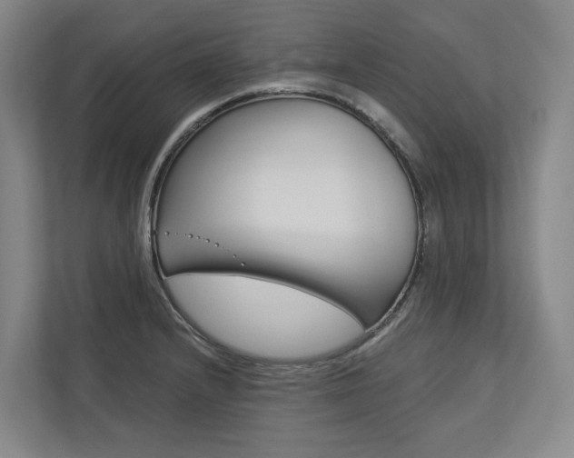X0000113171232200909040927