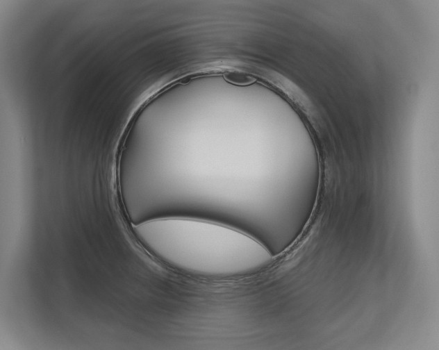 X0000113171234200909040927
