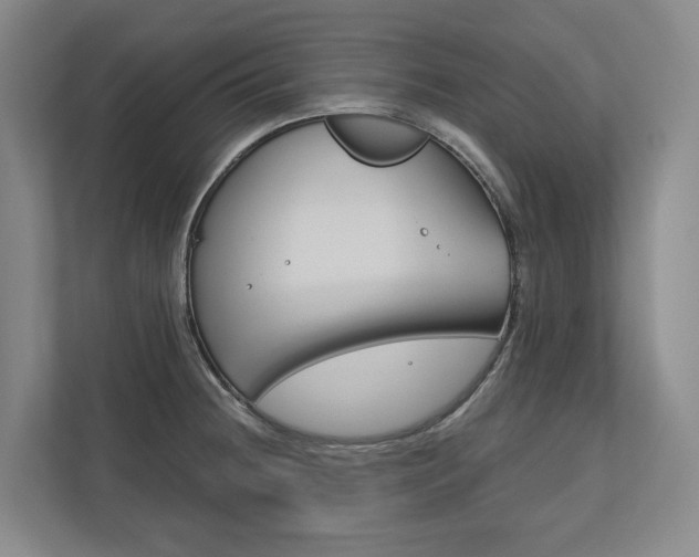 X0000113171236200909040927
