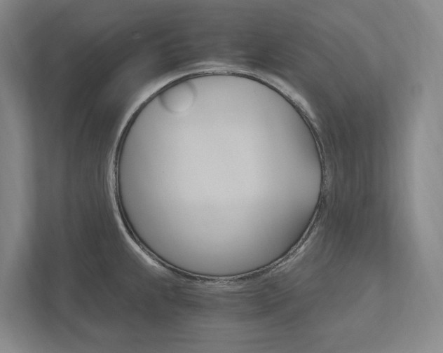 X0000113171239200909040927