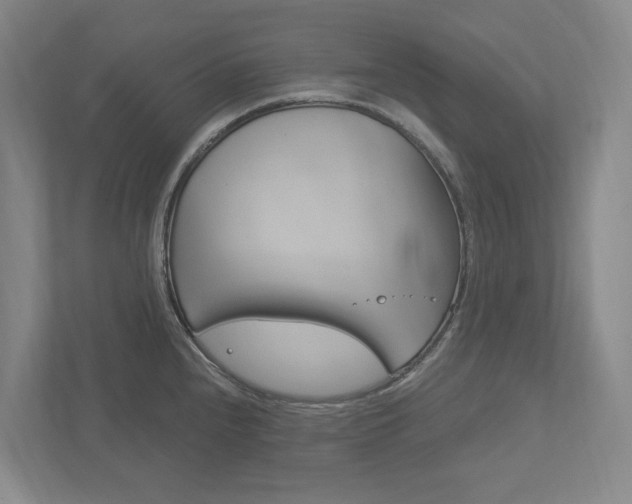 X0000113171240200909040927