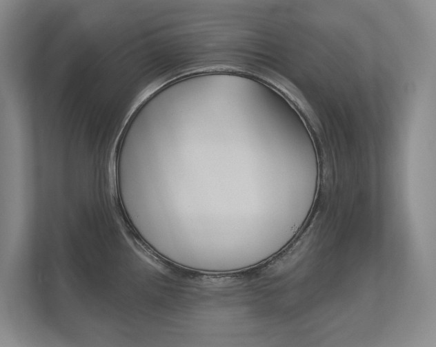 X0000113171242200909040927