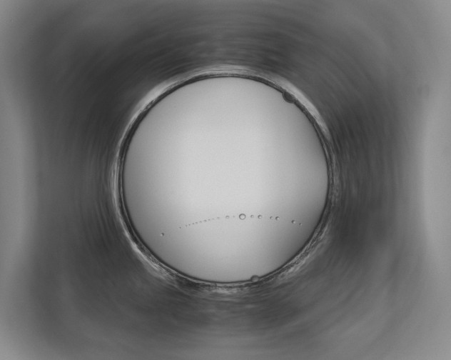 X0000113171245200909040927