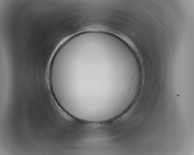X0000113171248200909040928