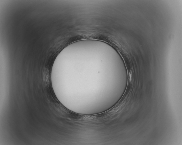 X0000113171251200909040927