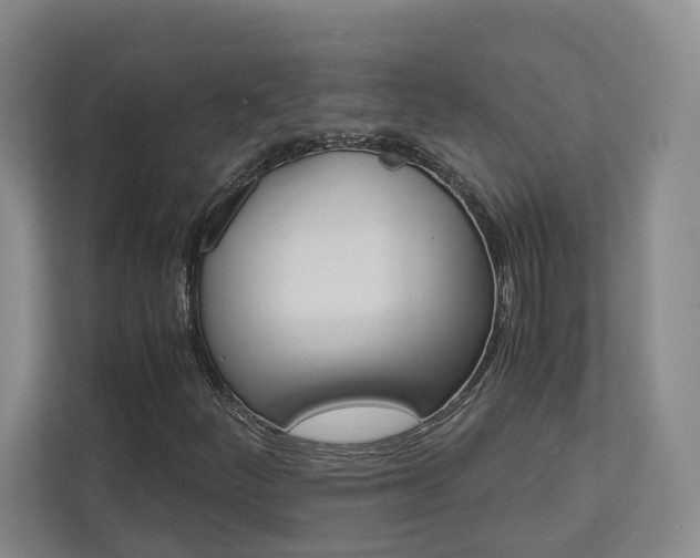 X0000113171252200909040927